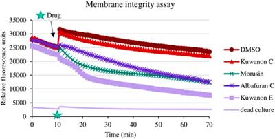 Prenylated phenolics from Morus alba against MRSA infections as a strategy for wound healing